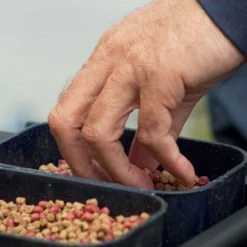 Preston Bait Tubs Bait Boxes -Outlet Preston Store Preston Bait Tubs 2