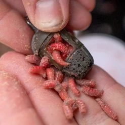 Preston ICM Maggot Feeder In-Line Terminal Tackle 7 Preston ICM Maggot Feeder In-Line Terminal Tackle -Outlet Preston Store Preston Icm In Line Maggot Feeder Small 4 1